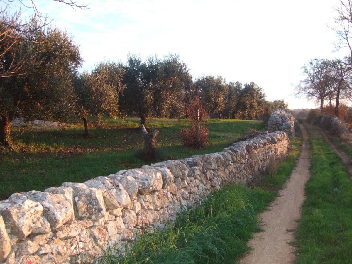 Trullisia Bed And Breakfast Alberobello Exterior foto